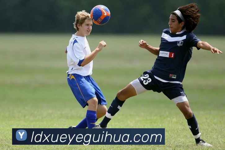 vsport体育APP 高清赛事图